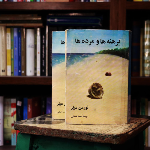 کتاب دست دوم برهنه ها و مرده ها ؛ دو جلدی