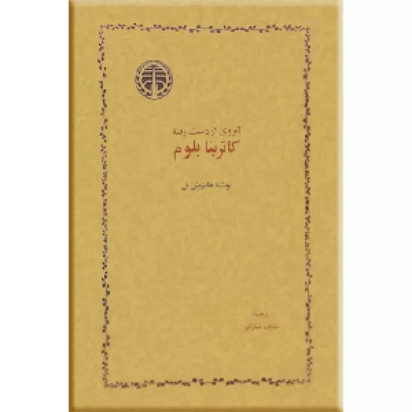 خرید و قیمت کتاب دست دوم آبروی از دست رفته کاترینا بلوم