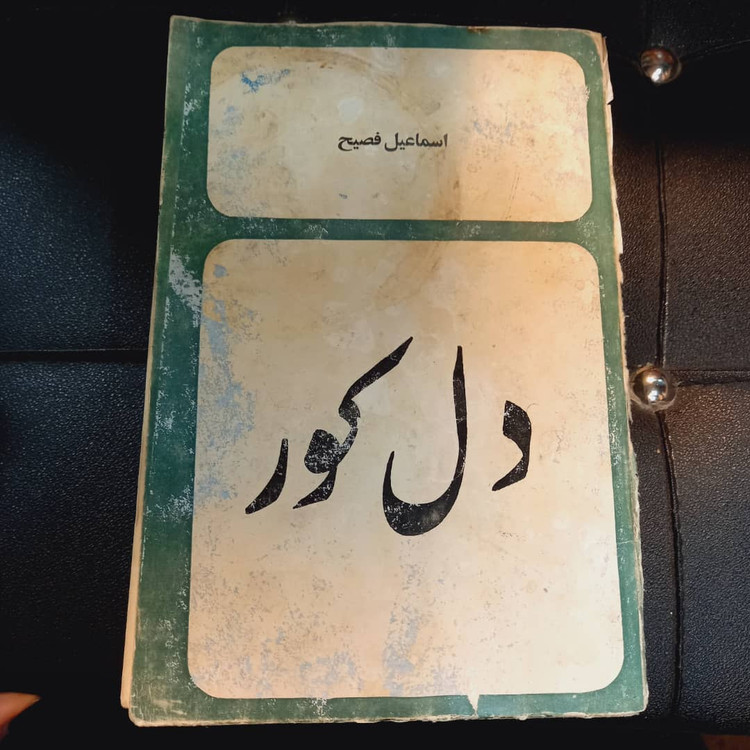 خرید و قیمت کتاب دست دوم کتاب دل کور اسماعیل فصیح 1352