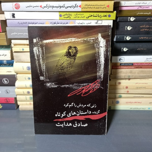 کتاب دست دوم زنی که مردش را گم کرد (گزیده داستانهای کوتاه صادق هدایت)