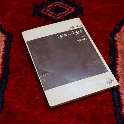 خرید و قیمت کتاب دست دوم دیو! ... دیو! نویسنده: بزرگ علوی ناشر: امیر کبیر زبان کتاب: فارسی