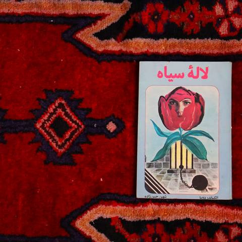 کتاب دست دوم لاله سیاه ، الکساندر دوما