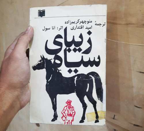 خرید و قیمت کتاب دست دوم زیبای سیاه اثر آنا سول