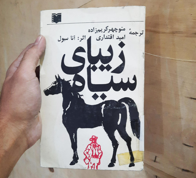 خرید و قیمت کتاب دست دوم زیبای سیاه اثر آنا سول