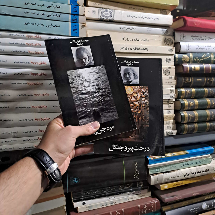 خرید و قیمت کتاب دست دوم | مرد جنزده نویسنده: مهدی اخوان ثالث (م. امید)