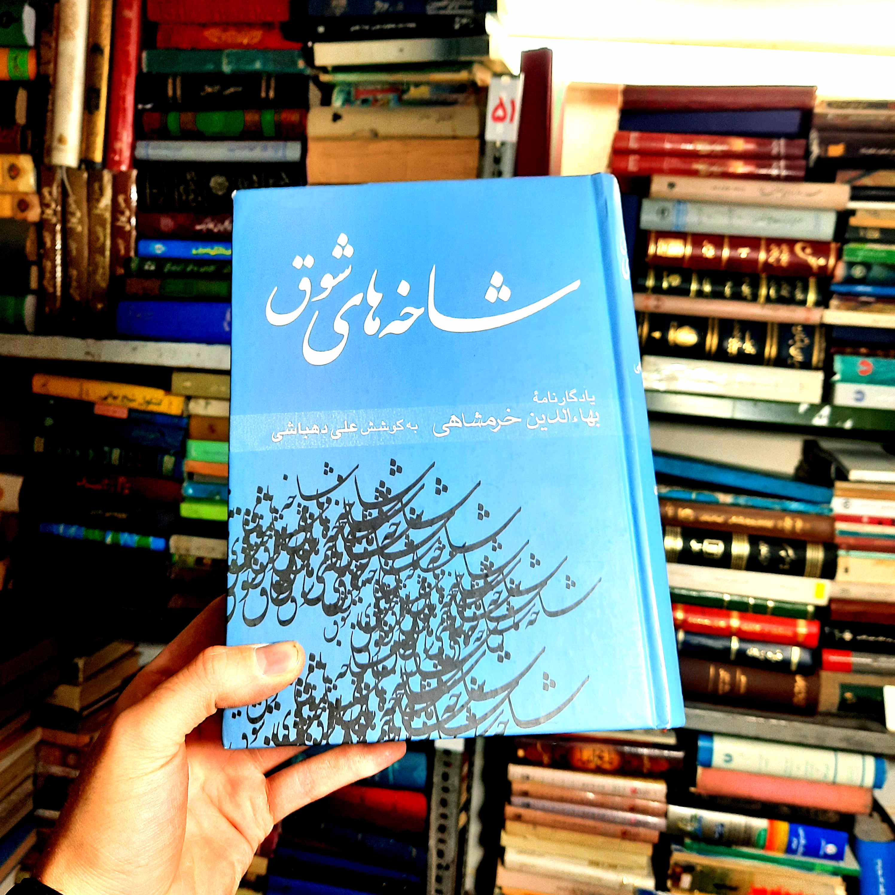 خرید و قیمت کتاب دست دوم 📚 کتاب دست‌دوم | شاخه‌های شوق (۲ جلدی یادگارنامه بهاءالدین خرمشاهی) به کوشش: علی دهباشی