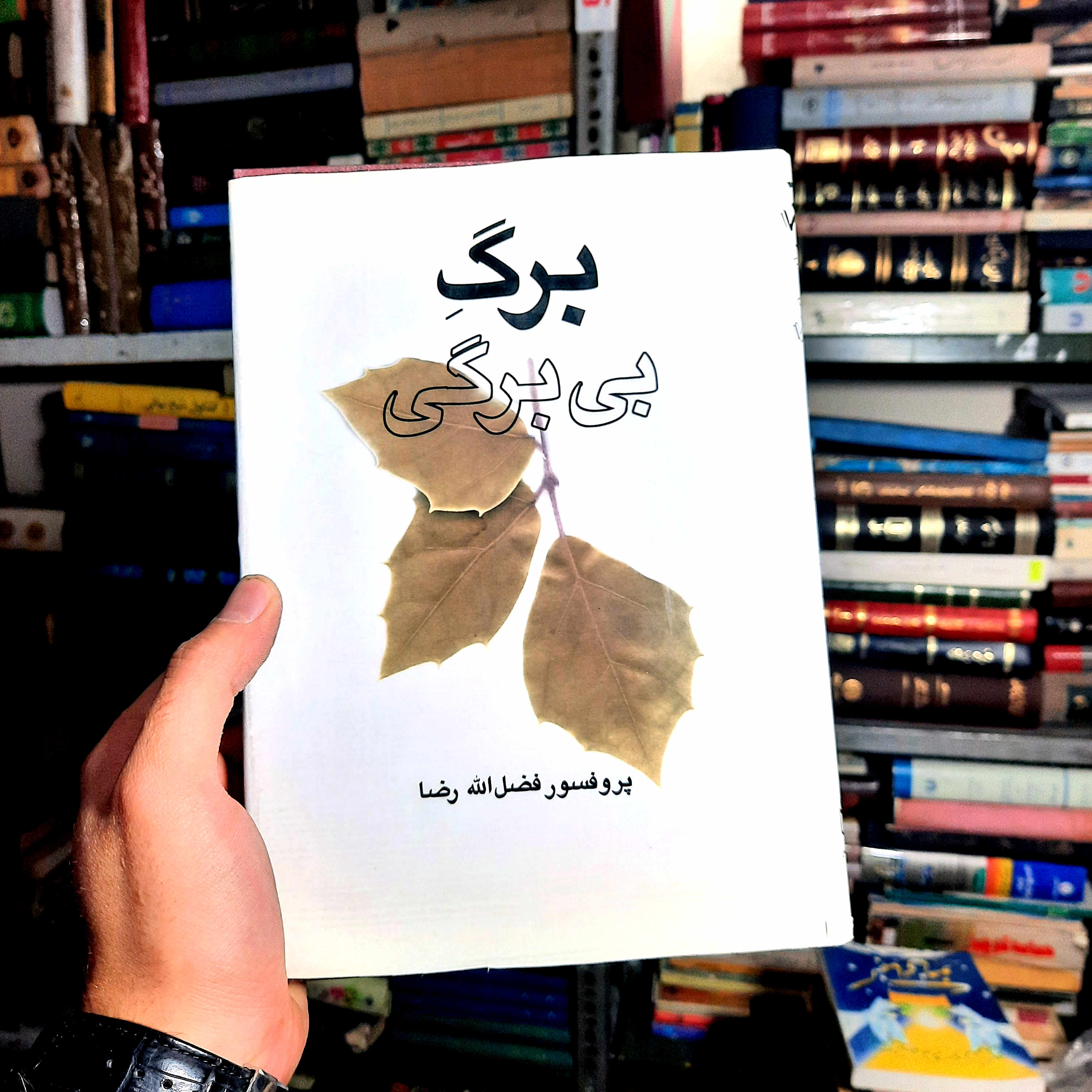 خرید و قیمت کتاب دست دوم | برگ بی‌برگی (مجموعه مقالات فرهنگی)