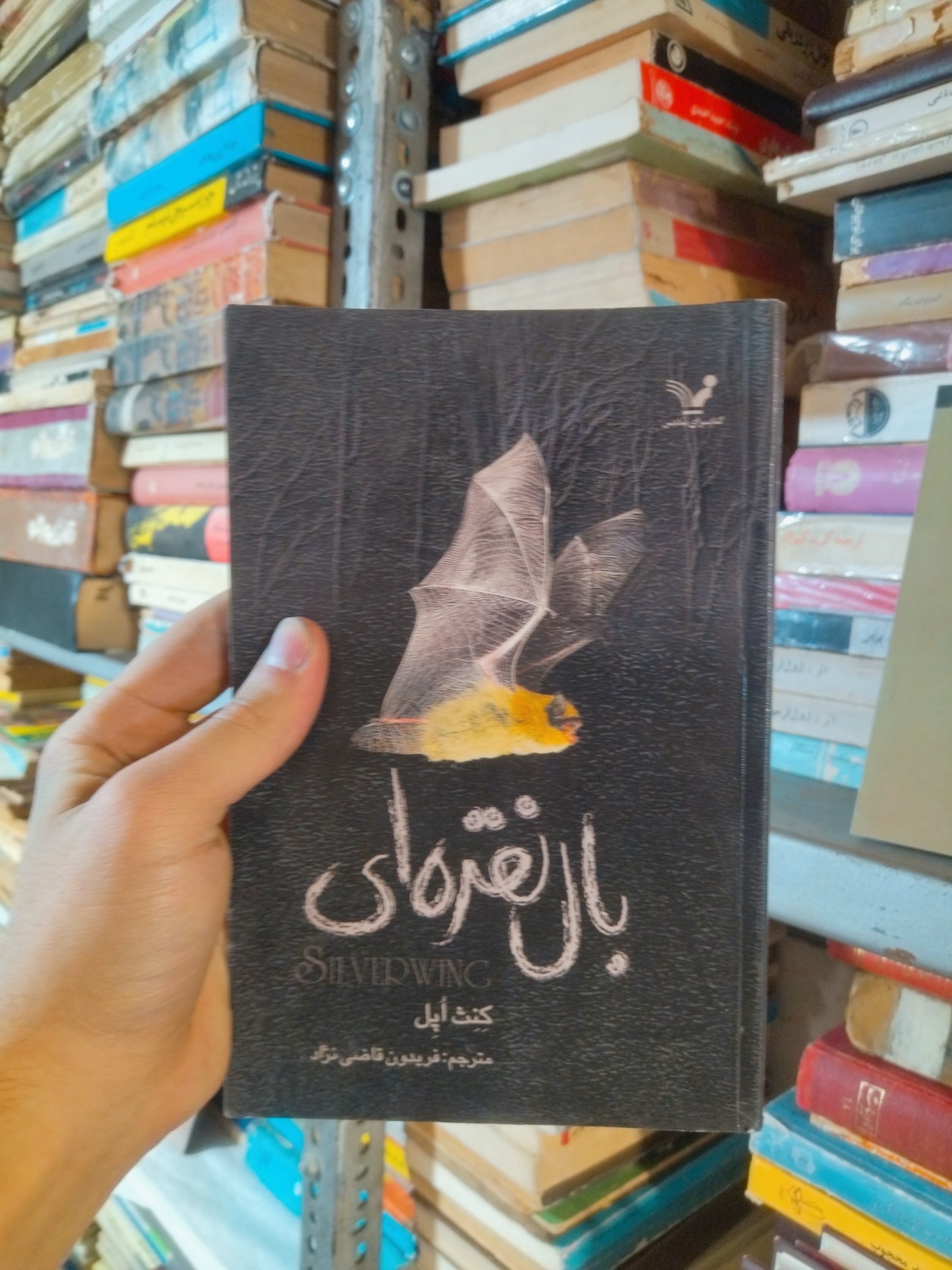 خرید و قیمت کتاب دست دوم بال نقره ای اثر کنت اپل