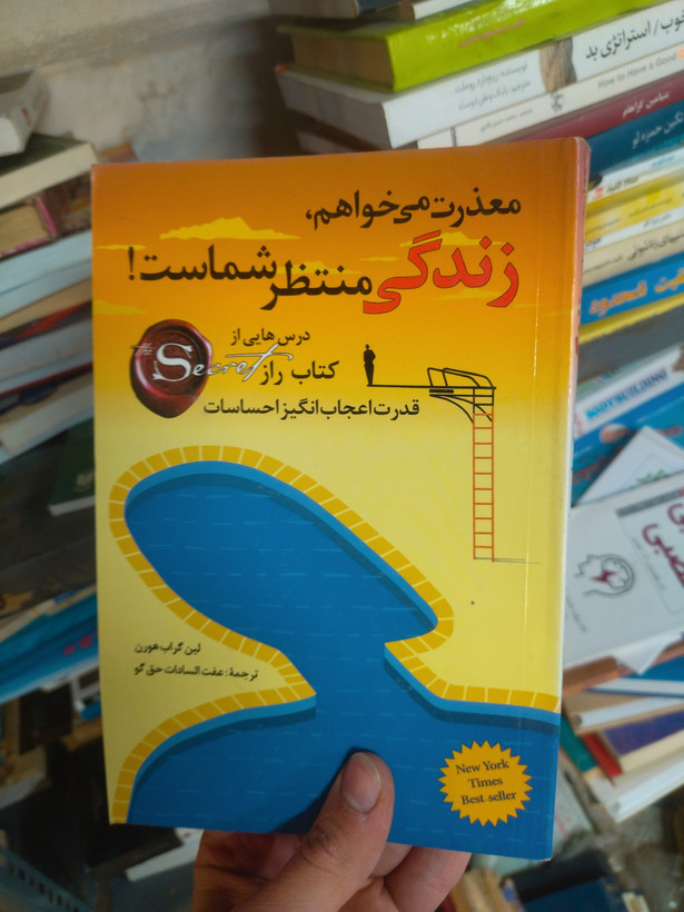 خرید و قیمت کتاب دست دوم معذرت می خواهم زندگی منتظر شماست اثر لین گربهورن