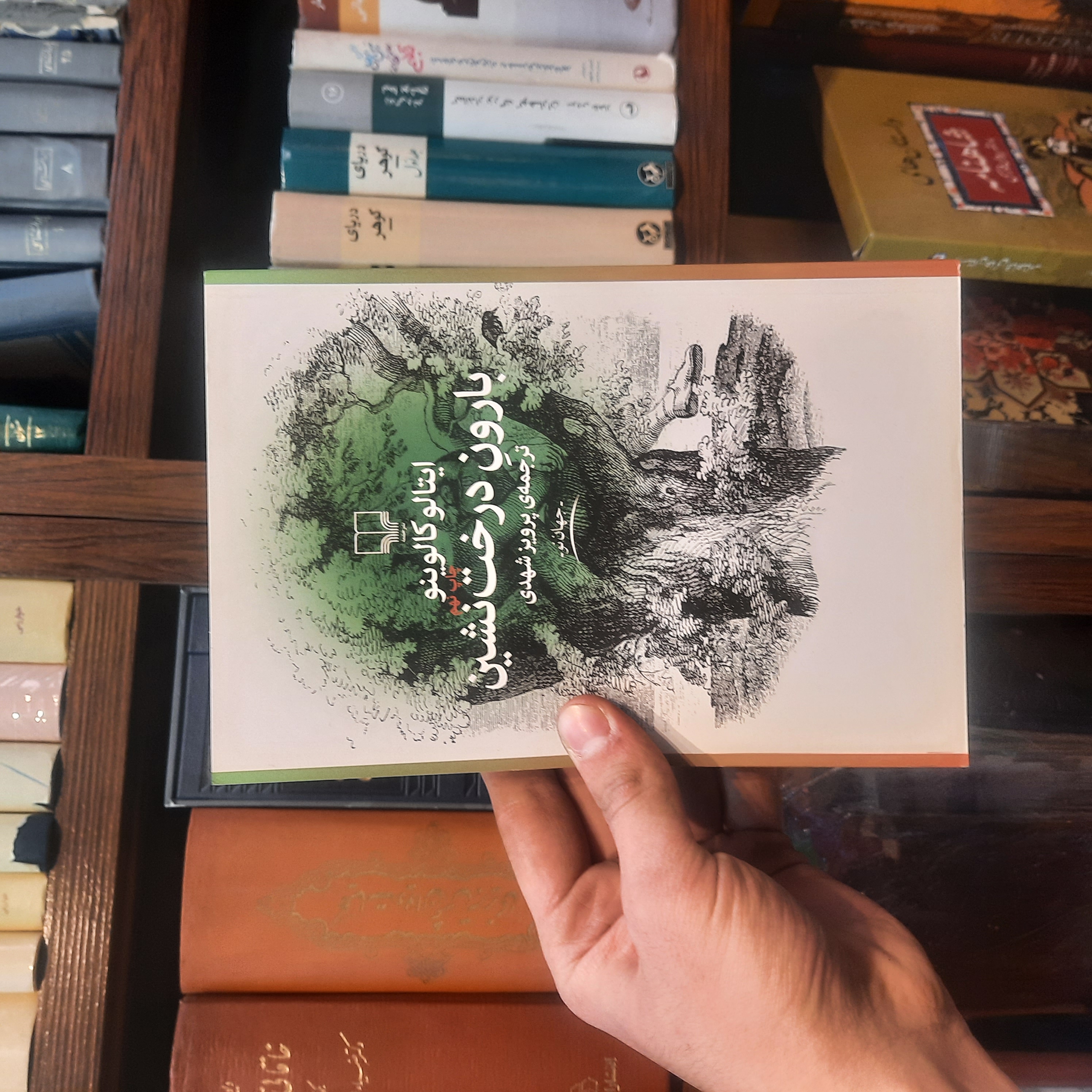 خرید و قیمت کتاب دست دوم : کتاب دست دوم بارون درخت نشین