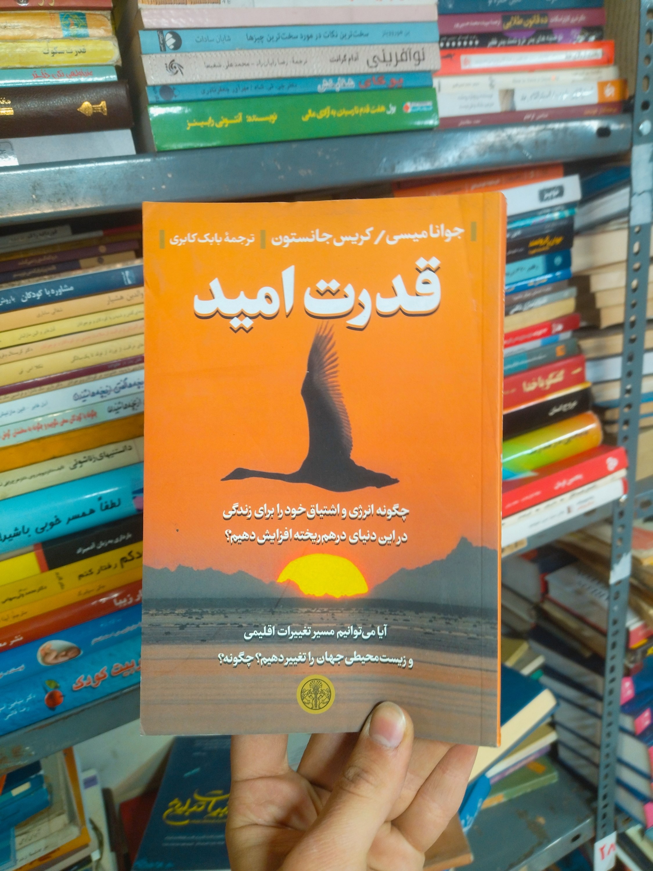 خرید و قیمت کتاب دست دوم قدرت امید اثر جوانا میسی و کریس جانستون