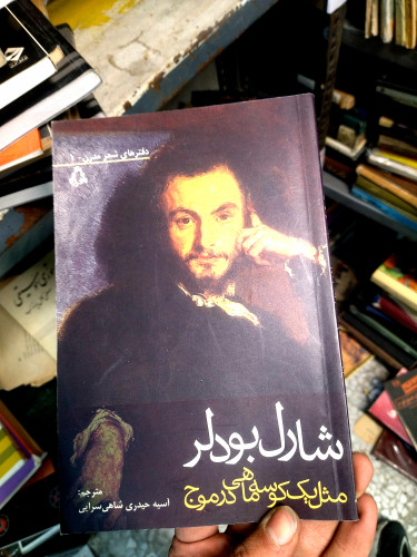 خرید و قیمت کتاب دست دوم کتاب مثل یک کوسه ماهی در موج