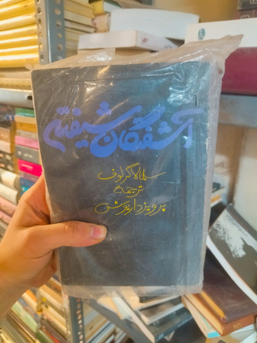 خرید و قیمت کتاب دست دوم آشفتگان شیفته اثر سالمالا گرلوو