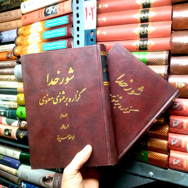 خرید و قیمت کتاب دست دوم شور خدا (گزاره بر مثنوی و معنوی)(2جلدی)