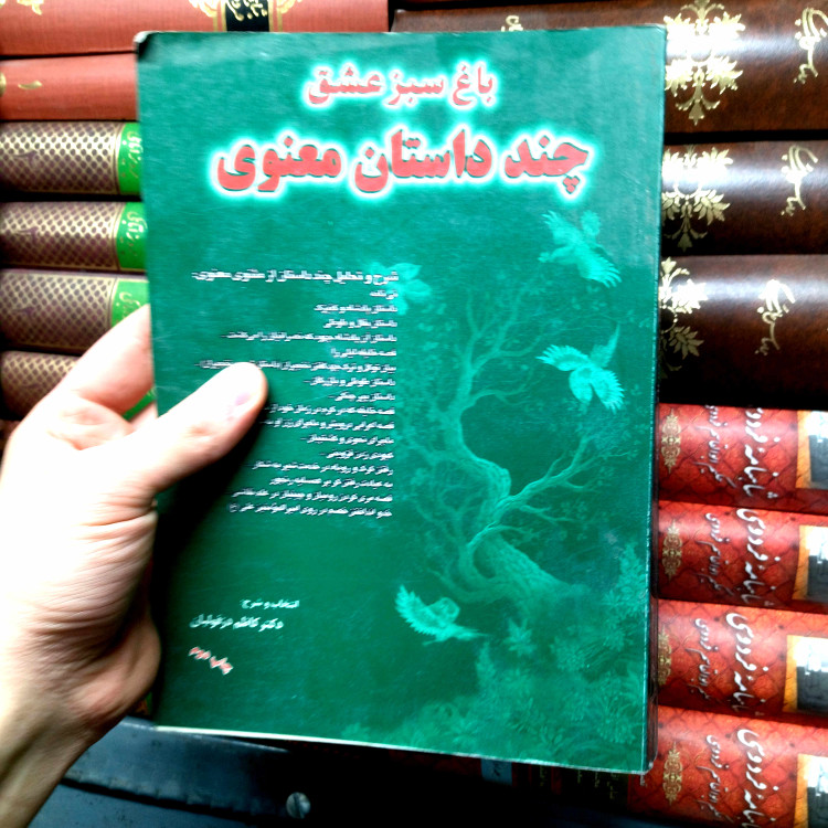 خرید و قیمت کتاب دست دوم باغ سبز عشق (چند داستان معنوی)