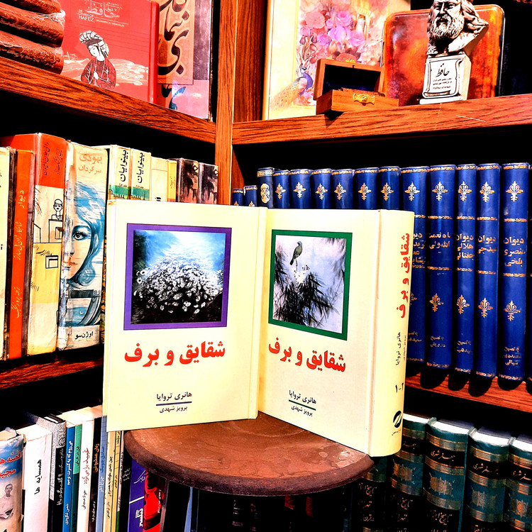 خرید و قیمت کتاب دست دوم کتاب شقایق و برف