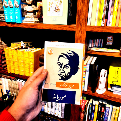 خرید و قیمت کتاب دست دوم زندگی موریانه - 1345