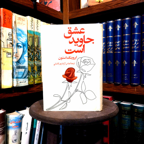 خرید و قیمت کتاب دست دوم کتاب عشق جاوید است اثر ایروینگ استون