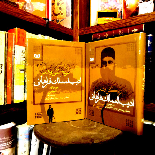خرید و قیمت کتاب دست دوم کتاب دست دوم کتاب زندگی و شعر ادیب الممالک فراهانی اثر علی موسوی گرمارودی