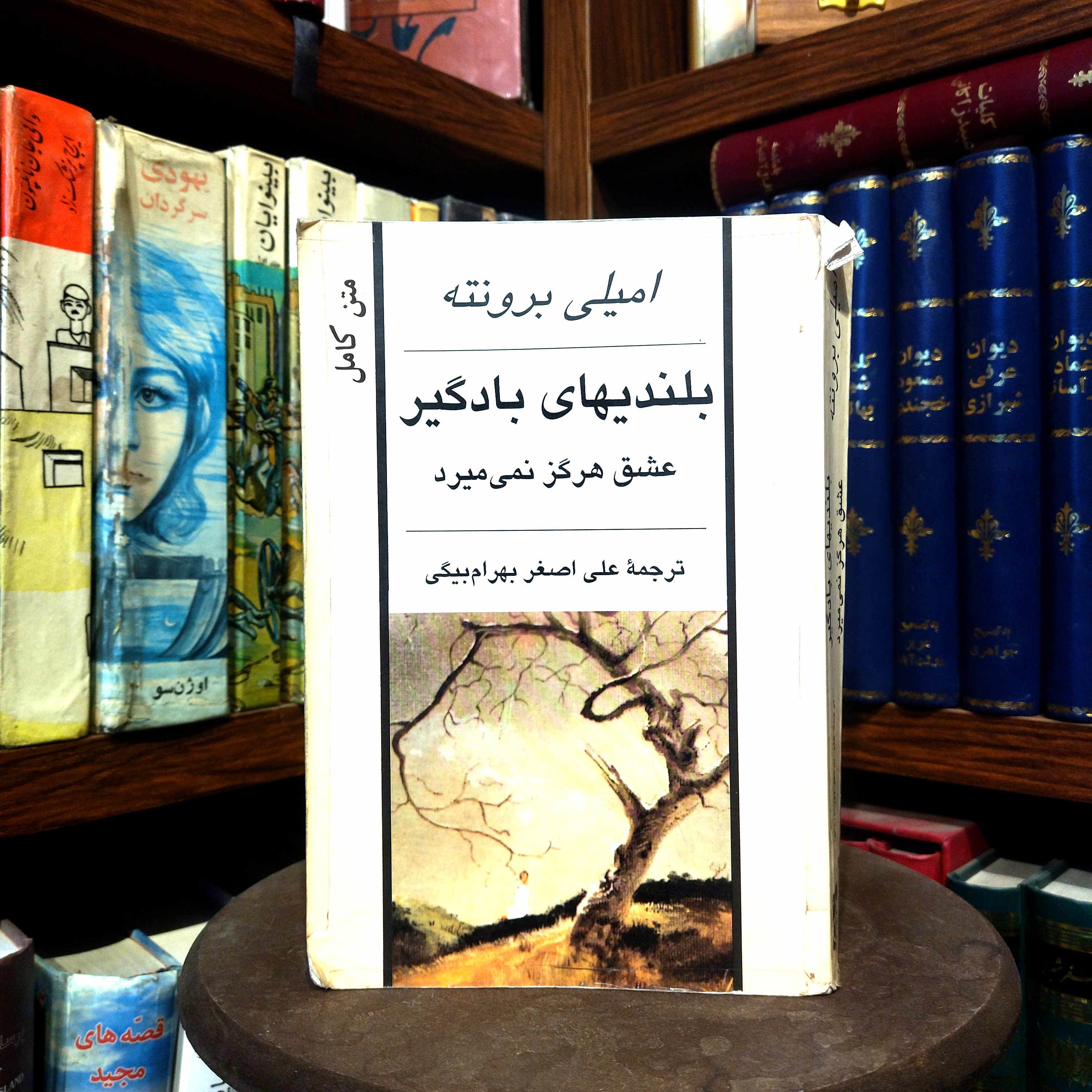 خرید و قیمت کتاب دست دوم کتاب دست دوم  بلندی های بادگیر اثر امیلی برونته
