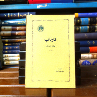 کتاب دست دوم کارناپ نویسنده: آرن نائس