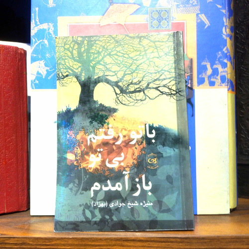 خرید و قیمت کتاب دست دوم کتاب دست دوم با تو رفتم بی تو باز آمدم | منیژه شیخجوادی