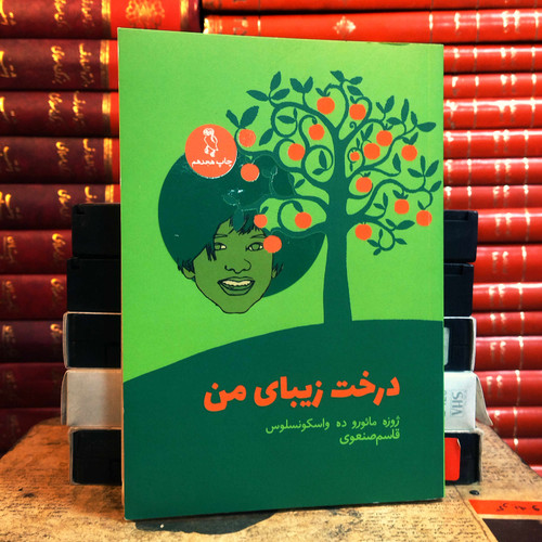 کتاب دست دوم درخت زیبای من اثر خوزه مارودو واسکونسلوس به ترجمه قاسم صنعوی