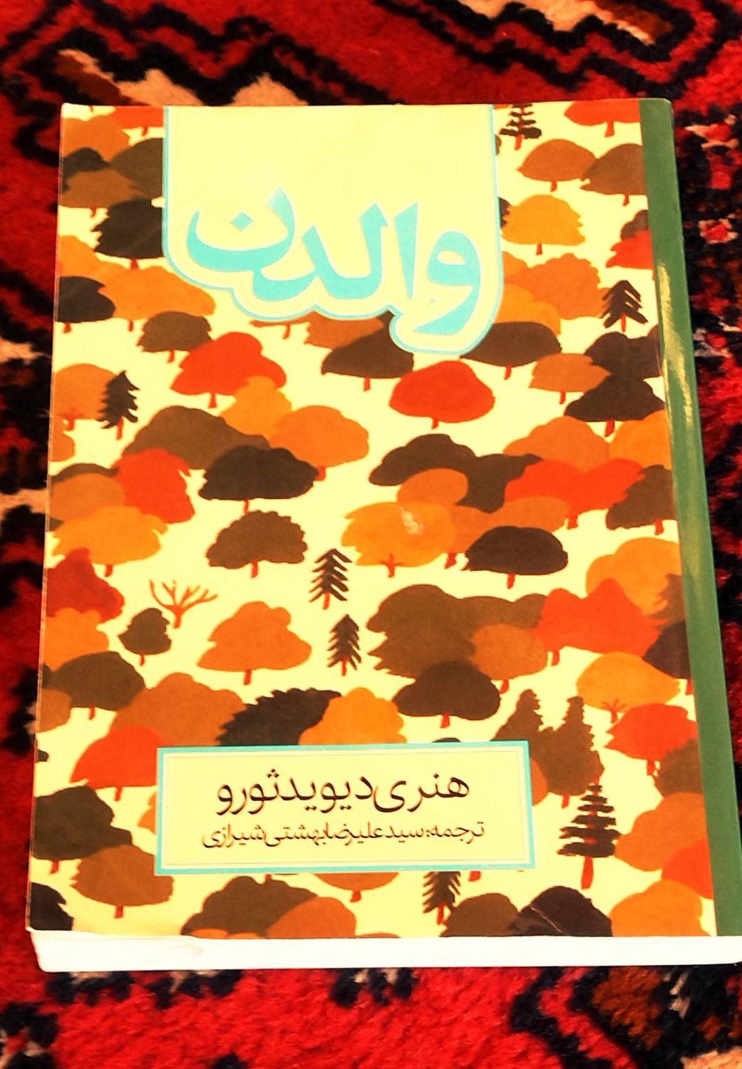 کتاب دست دوم والدن هنری دیوید ثورو | ترجمه سید علیرضا بهشتی شیرازی