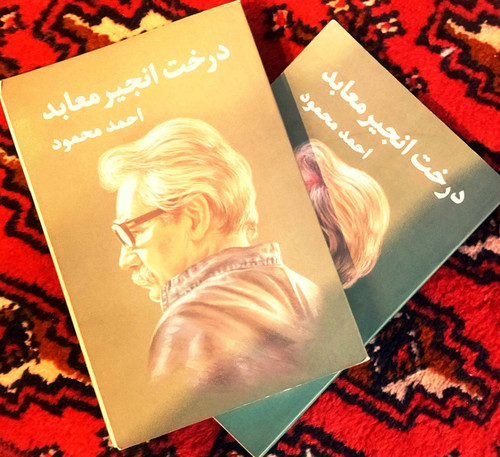 کتاب دست دوم درخت انجیر معابد احمد محمود