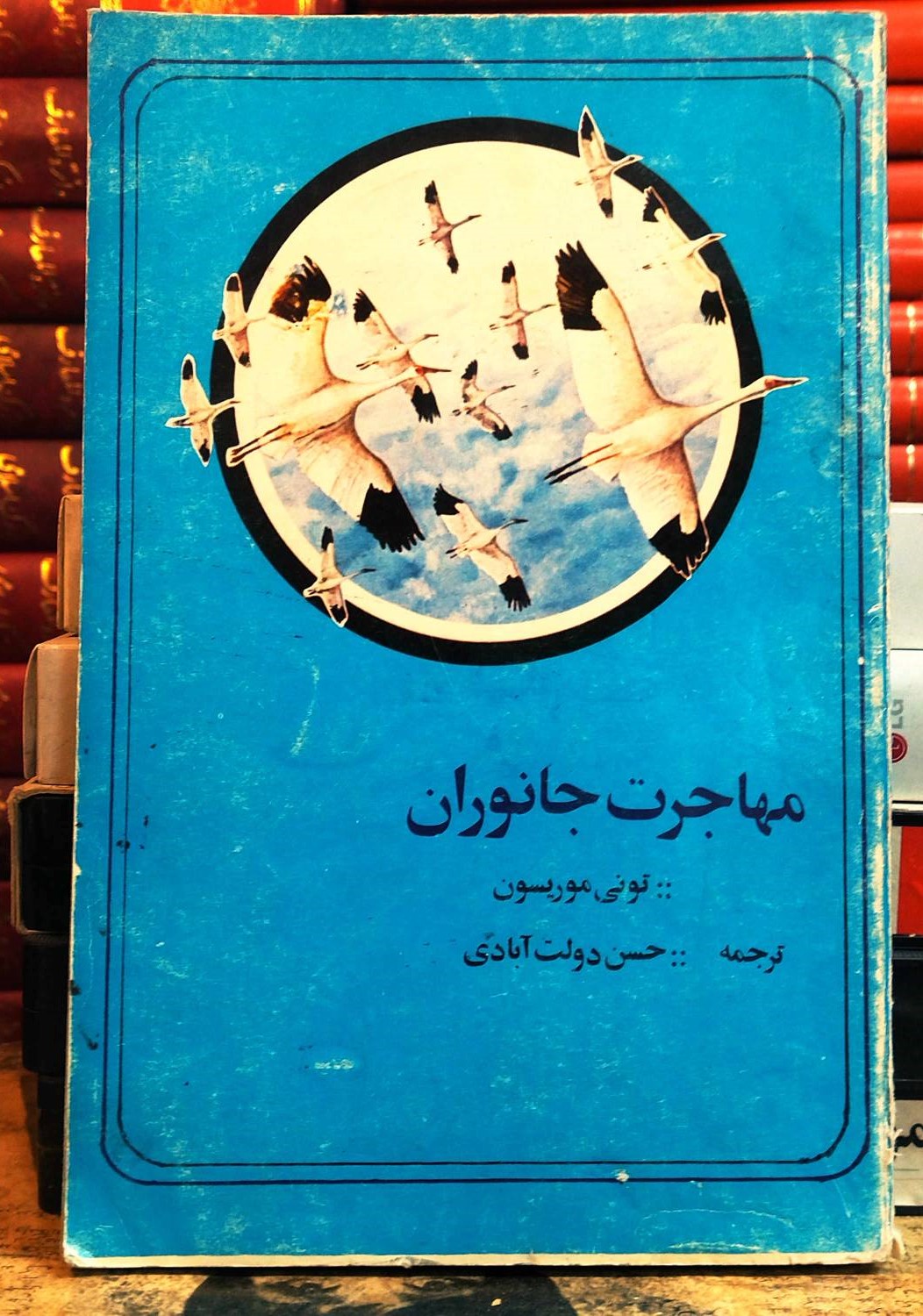 کتاب دست دوم مهاجرت جانوران نویسنده: تونی موریسون مترجم : حسن دولت آبادی