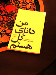 من دانای کل هستم اثر مصطفی مستور ( گوشه ی جلد زخمی است )